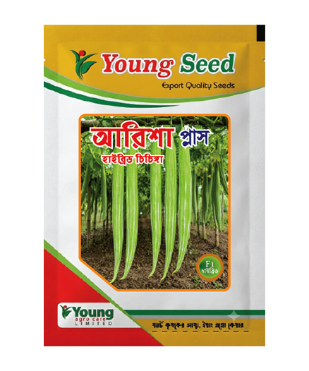 আরিশা প্লাস- Arisha Plus হাইব্রিড চিচিঙ্গা