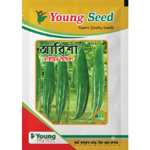 আরিশা-Arisha (হাইব্রিড চিচিঙ্গা)