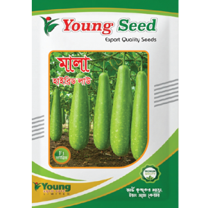 হাইব্রিড লাউ – মালা-Mala (F1)