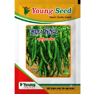 ইয়াং চিলি-Young Chili হাইব্রিড মরিচ