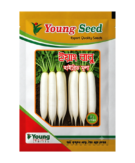 (F1) হাইব্রিড মূলা- ইয়াং বাবু- Radish