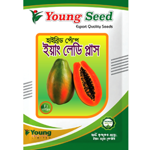 ইয়াং লেডি প্লাস F1 হাইব্রিড পেঁপে-Young Lady Plus Hybrid Papaya