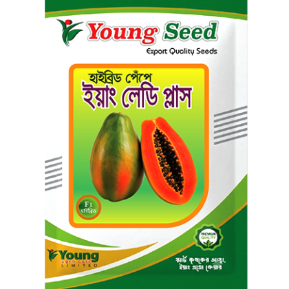 ইয়াং লেডি প্লাস F1 হাইব্রিড পেঁপে-Young Lady Plus Hybrid Papaya
