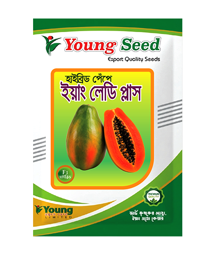 ইয়াং লেডি প্লাস F1 হাইব্রিড পেঁপে-Young Lady Plus Hybrid Papaya
