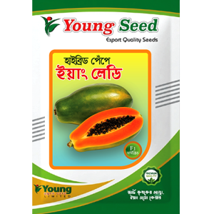 হাইব্রিড পেঁপে "ইয়াং লেডি" (F1 Hybrid) Young Lady Papaya