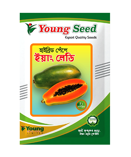 হাইব্রিড পেঁপে "ইয়াং লেডি" (F1 Hybrid) Young Lady Papaya