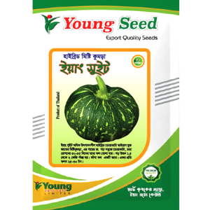 ইয়াং সুইট হাইব্রিড মিষ্টি কুমড়া (Pumpkin)