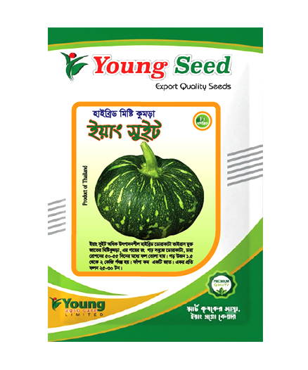 ইয়াং সুইট হাইব্রিড মিষ্টি কুমড়া (Pumpkin)