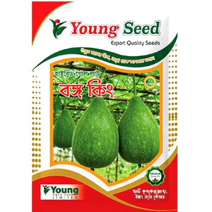 বঙ্গকিং লাউ (Bottle Gourd) F1 হাইব্রিড