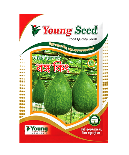বঙ্গকিং লাউ (Bottle Gourd) F1 হাইব্রিড